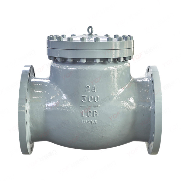 API check valve