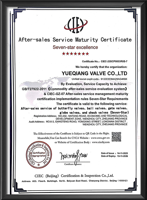 After-sales service maturity certification - English