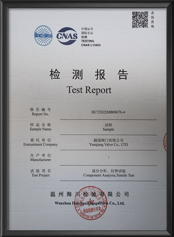 Test report