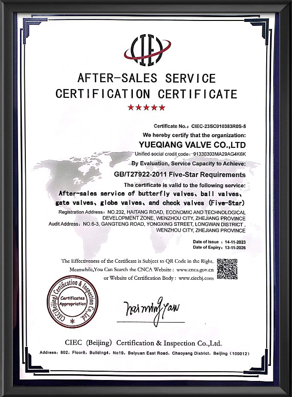 After-sales service certification certificate-English