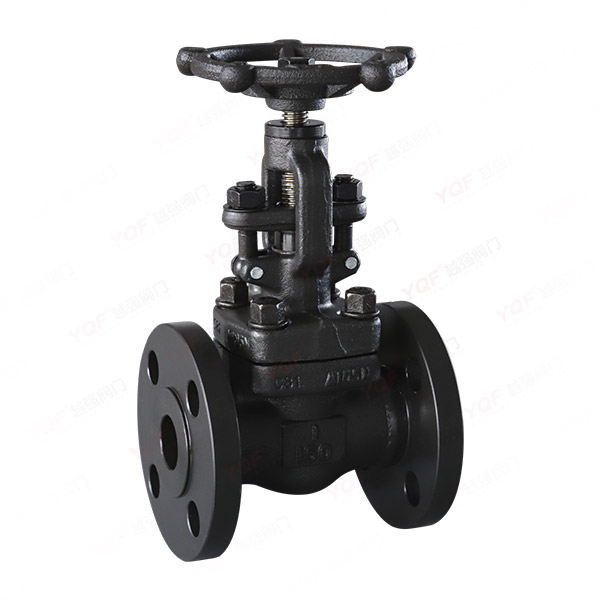 Forged steel flanged globe valve