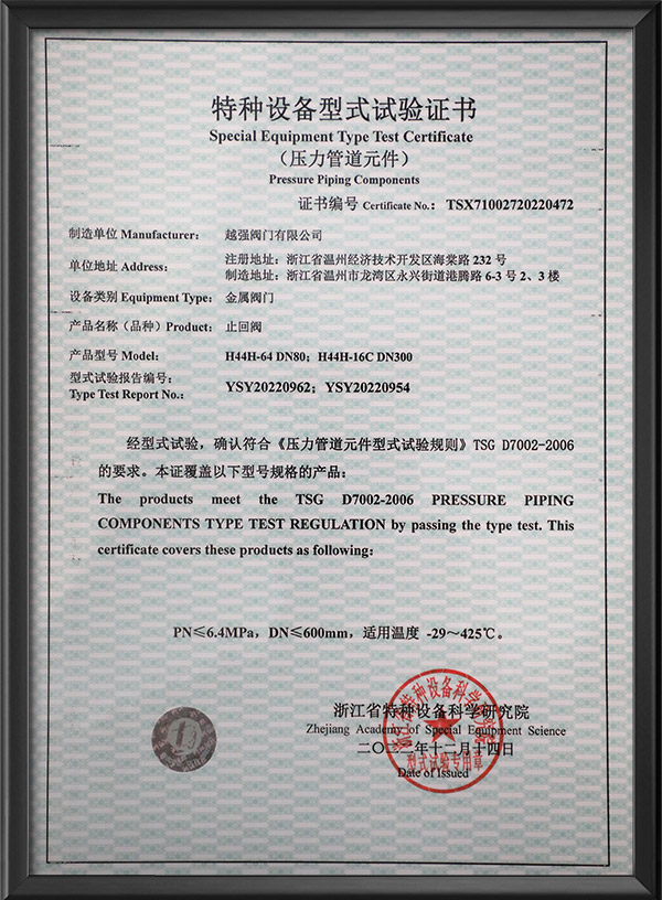 Special equipment type test certificate - check valve