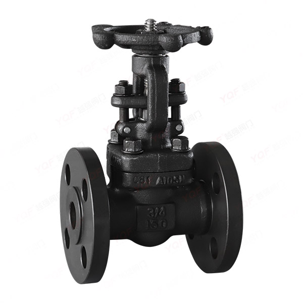 Forged steel flanged globe valve