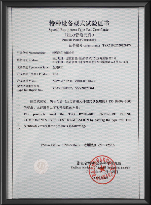 Special equipment type test certificate - gate valve