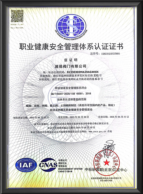 Occupational health and safety management system certification
