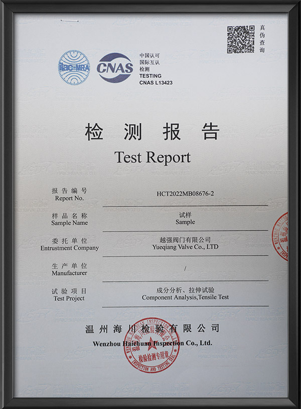 Test report