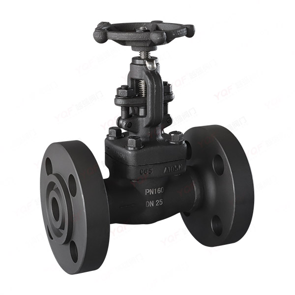 Forged steel flanged globe valve