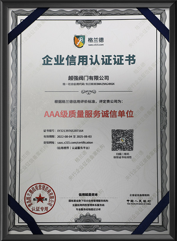 AAA quality service integrity unit