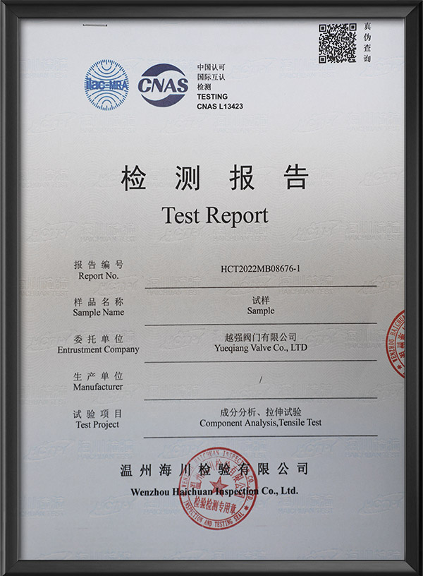 Test report
