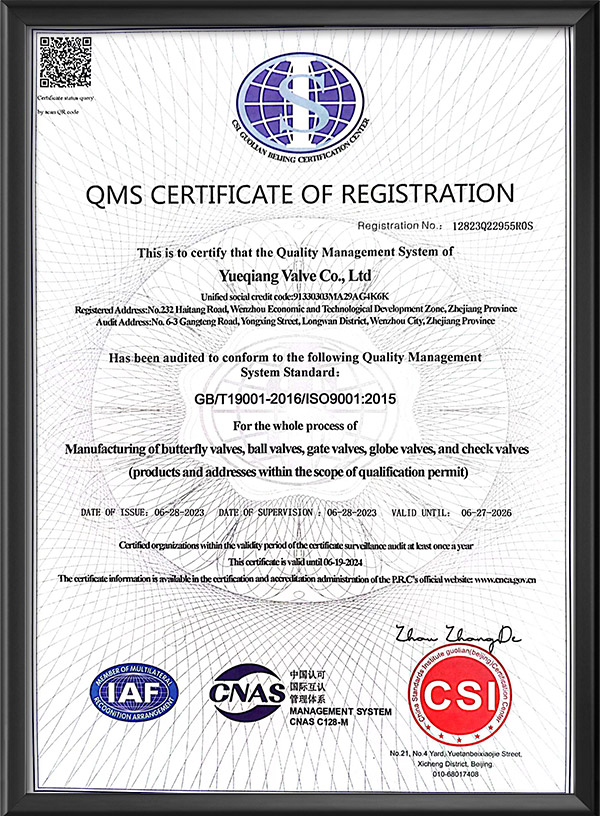 Quality management system certification - English